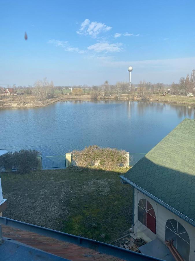 La Curia Panzio Bed & Breakfast Dunaszeg Екстериор снимка
