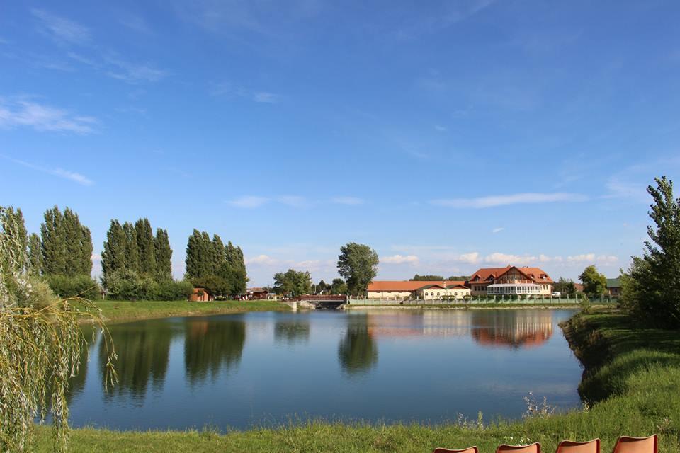 La Curia Panzio Bed & Breakfast Dunaszeg Екстериор снимка